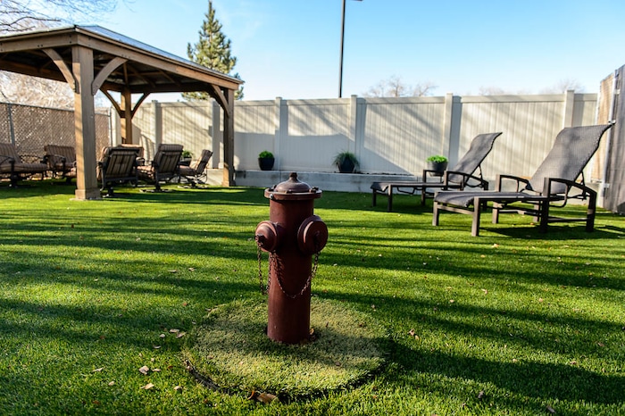 (Trent Nelson | The Salt Lake Tribune) An open space for dog parties at DogMode in Salt Lake City on Tuesday, Nov. 28, 2017.