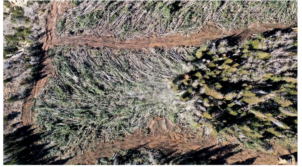 (106 Reforestation) This image from a promotional video shows how a Utah company called 106 Reforestation bulldozes overgrown forests on the Tavaputs Plateau with the hope of restoring aspen that have been crowded out by subalpine fir and other conifers. The Utah Legislature has appropriated $4.4 million dollars since 2019 to promote the experimental forest treatments as a way to enhance stream flows.