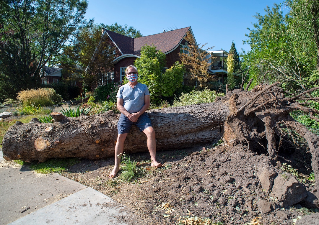 (Rick Egan  |  The Salt Lake Tribune)    Tom Mitchell sits on the trunk of a price tree that was blown over by the wind earlier this week, on Saturday, Sept. 12, 2020. 
