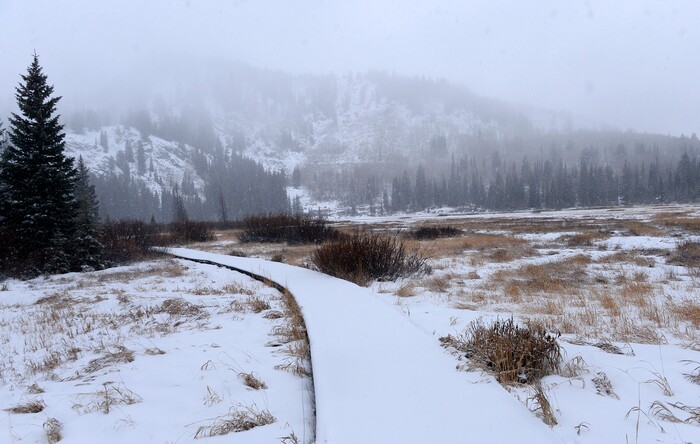 (Al Hartmann | The Salt Lake Tribune)
Sleet and snow cover the boardwalk at Secret Lake Friday morning Nov. 17 at the top of Big Cottonwood Canyon.