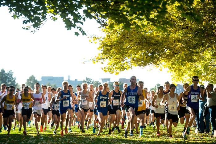 (Chris Detrick  |  The Salt Lake Tribune)  Runners compete during the 6A boy's state cross-country meet at Sugar House Park and Highland High School Wednesday, October 18, 2017. 