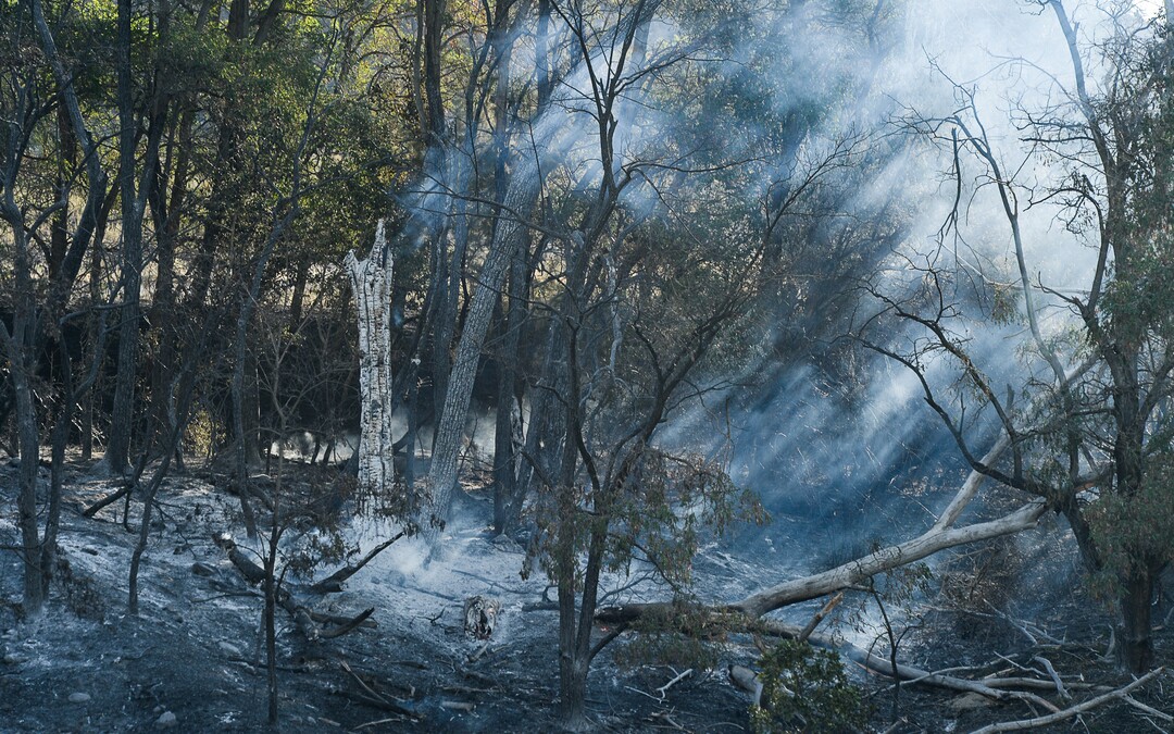 (Francisco Kjolseth  |  The Salt Lake Tribune)  Smoldering remains are seen along East Hills Drive in Bountiful Utah as fire crews battle the Davis County fire that grew to 150 acres early Friday morning, Aug. 30, 2019, and destroyed three homes.  On Sept. 2, officials said the fire was 100% contained.