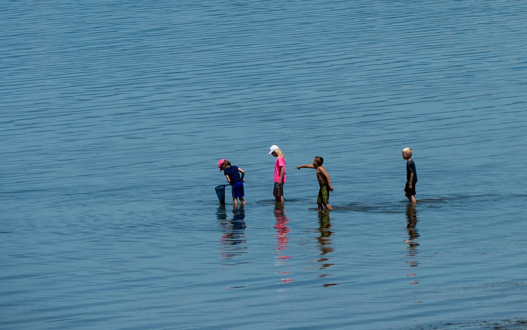 (Rick Egan  |  The Salt Lake Tribune)     A group of kids explore the shore of the Great Salt Lake, Tuesday, June 11, 2019.