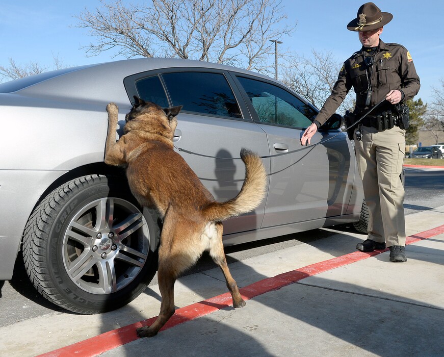 (Al Hartmann | The Salt Lake Tribune) Utah Highway Patrol Sgt. Randy Riches and drug-sniffing dog "Terro" conduct a training exercise. A man who has been in prison since pleading guilty in 2020 to trafficking drugs through Utah could now be released after an appeals court decided Wednesday that he was convicted using illegally gathered evidence, which was garnered during a traffic stop and subsequent K-9 search.