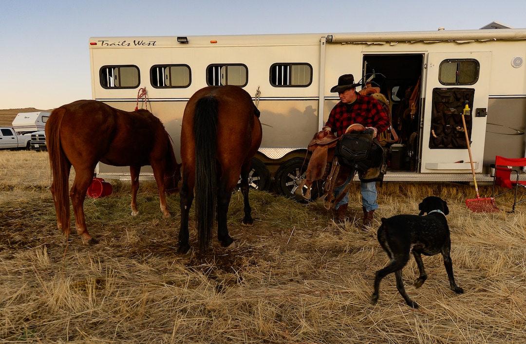 (Francisco Kjolseth  |  The Salt Lake Tribune)  Nate Gallegos of Urda is joined by his dog Pearl as he saddles up Maggie and Ruby before the 33rd annual Bison Roundup, Saturday, Oct. 26, 2019, on Antelope Island, a state park located near Syracuse in Davis County. Every year Utah wildlife and parks officials move the animals from across the island so they can be weighed, tagged and given health screenings.