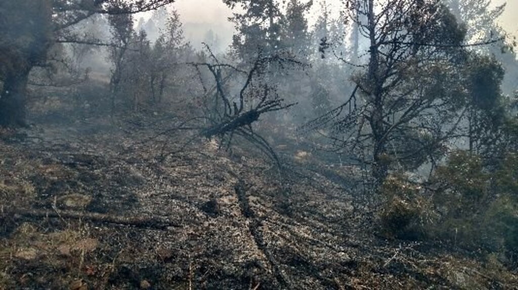(Photo courtesy of Manti-La Sal National Forest) The 110-acre Crandall Fire in northwest Emery County was 60 percent contained as of the morning of Wednesday, April 25, 2018.