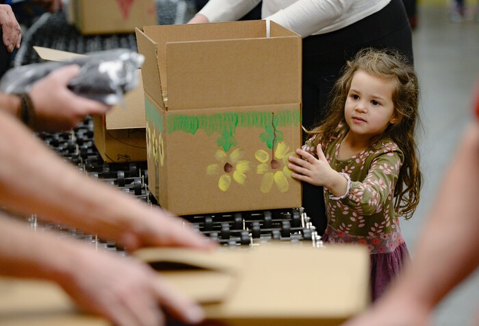 (Francisco Kjolseth  |  The Salt Lake Tribune) Mila LaMalfa, 4, does her part as she helps push a box being filled with food while volunteering at the Utah Food Bank to celebrate the 2020 Martin Luther King Jr. Day of Service on Monday, Jan. 20, 2020.