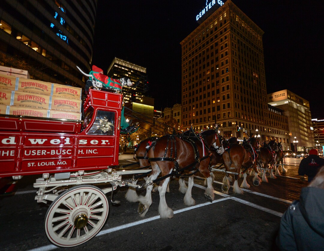 (Francisco Kjolseth  |  The Salt Lake Tribune)  Budweiser’s iconic Clydesdales make a special trip to Utah to celebrate the changing beer laws in the state, joined by a “ghoulish group of pallbearers,” on Wed. Oct. 30, 2019, for a funeral procession for Utah’s last remaining 3.2 percent beer, on their way to Bar X, Beer Bar and Johnny’s on 200 South in Salt Lake City, as the state prepares to start selling 5 percent alcohol-by-volume in grocery and convenience stores starting Friday.