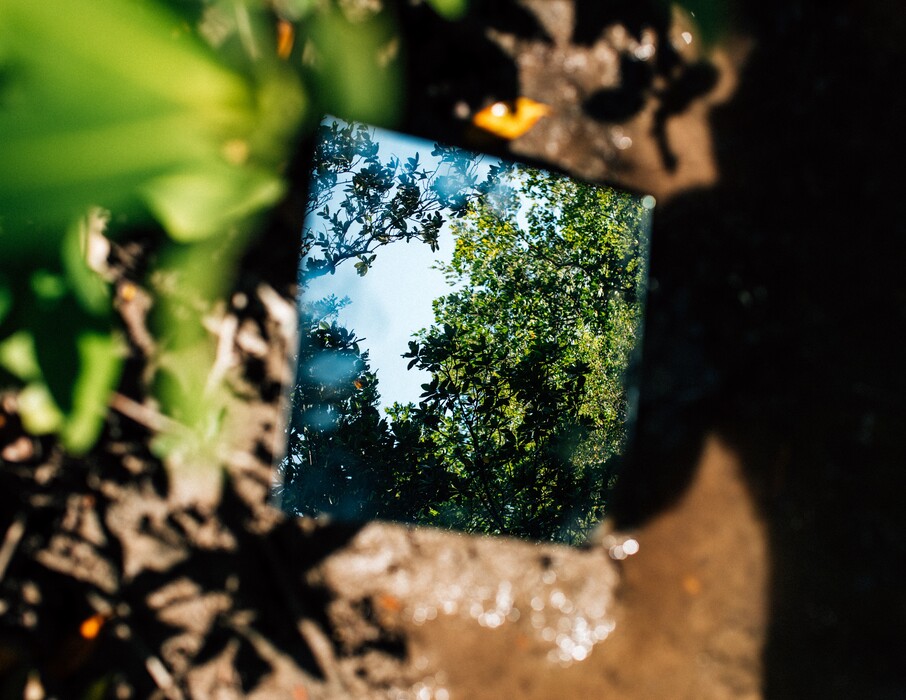 (Rose Marie Cromwell for The New York Times) 

Earth Day is a reminder that we are living creatures all the same.