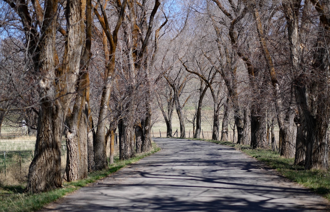 (Francisco Kjolseth  | The Salt Lake Tribune) A deal has been reached to preserve most of the 1,800-acre agricultural operation that surrounds the former site of the Abbey of Our Lady of the Holy Trinity in the rapidly subdividing Ogden Valley. Landowner Bill White has agreed to donate much of the development rights to the land so that it remains as agricultural open space. White has invested heavily in the land's agricultural operations so that it would qualify for the $8.8 million in federal grants that are funding most of the deal.