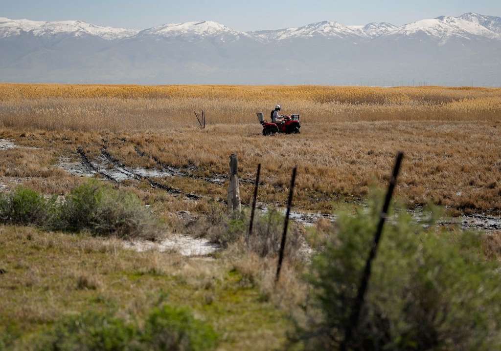 (Francisco Kjolseth | The Salt Lake Tribune) Salt Lake City Mosquito Abatement District employee Austin Harp, distributes a dry biological pesticide to kill mosquito larvae for mitigation purposes, southeast of the Great Salt Lake, Thursday, April 10, 2025.