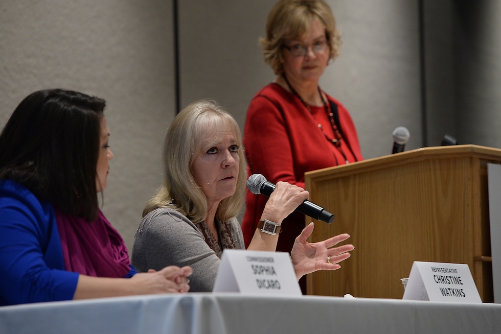 (Scott Sommerdorf   |  The Salt Lake Tribune)   Rep. Christine Watkins - R, Price, speaks at the panel discussion: Tales from the Trail at the Real Women Run training in campaign management, fundraising and research for political campaigns, Saturday, January 13, 2018.