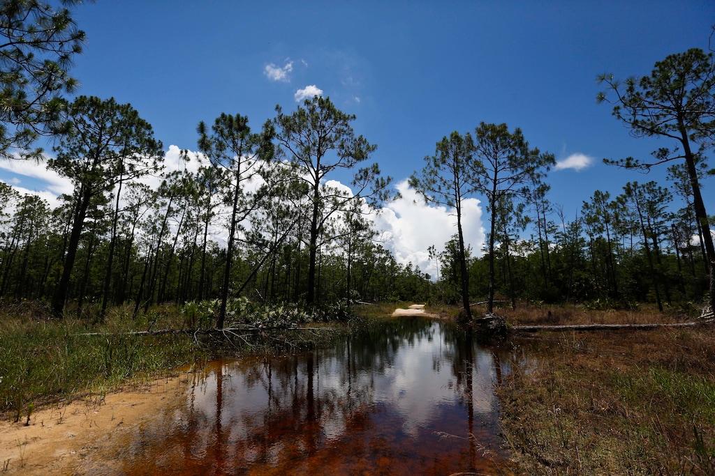 (Brynn Anderson | AP file photo) In this June 7, 2018 photo, a puddle blocks a path that leads into the Panther Island Mitigation Bank near Naples, Fla. The Trump administration on Thursday, Sept. 12, 2019, revoked an Obama-era regulation that shielded many U.S. wetlands and streams from pollution but was opposed by developers and farmers who said it hurt economic development and infringed on property rights.