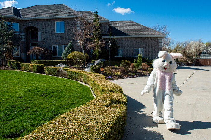 (Rick Egan  |  The Salt Lake Tribune)     Makea Kelly dresses as the Easter Bunny, as she she assists Draper City Parks and Recreation workers, the police and the fire department, as they deliver more than 30,000 Easter eggs to children at their doorsteps in Draper, Friday, April 10.