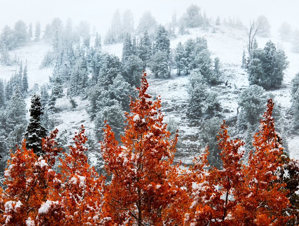 (Steve Griffin | The Salt Lake Tribune) A fresh dusting of snow covers the mountain tops in Little Cottonwood Canyon on September 23, 2016. The Cottonwood canyons could receive 5-10 inches of snow in the next couple of days, thanks to an incoming winter storm.