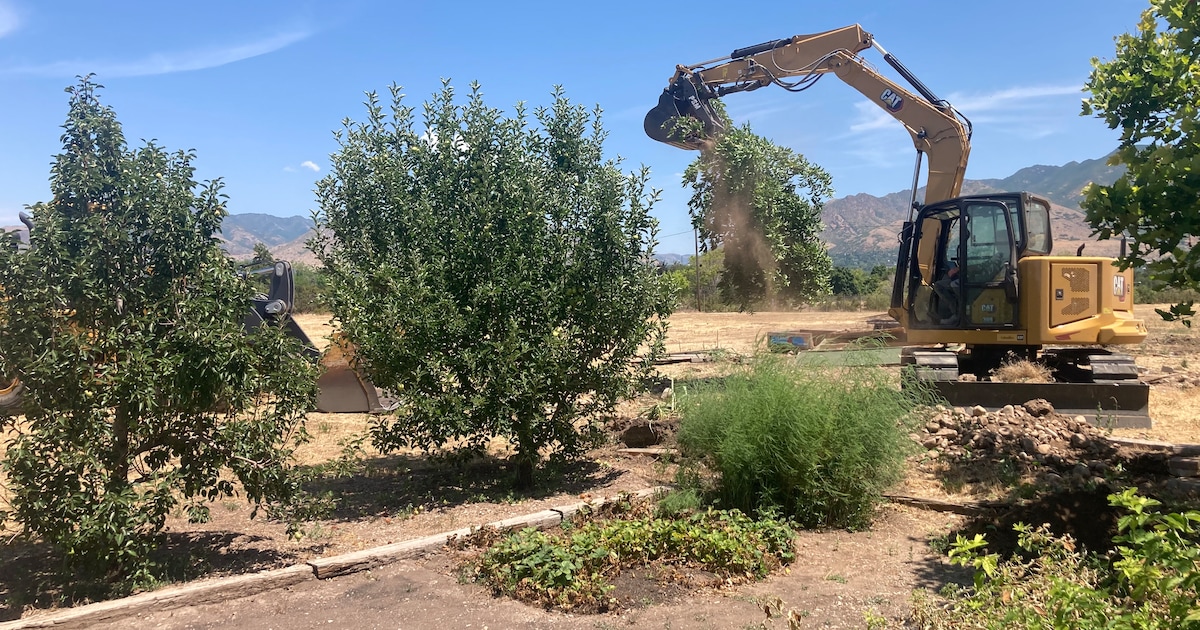 ‘Loss for our community’ — A neighboring city tears out gardens in SLC