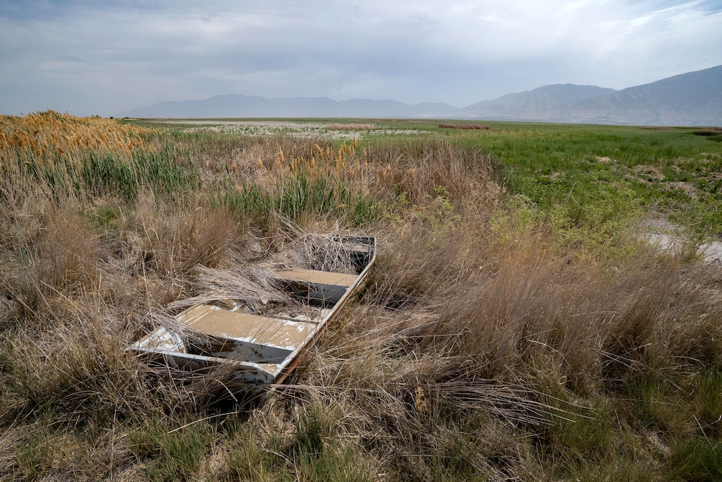 (Francisco Kjolseth | The Salt Lake Tribune) An abandoned boat sits on one of the many dried up ponds in the Bear River Migratory Bird Refuge, a 74,000-acre nature reserve in the northern Great Salt Lake on Wednesday, June 23, 2021.