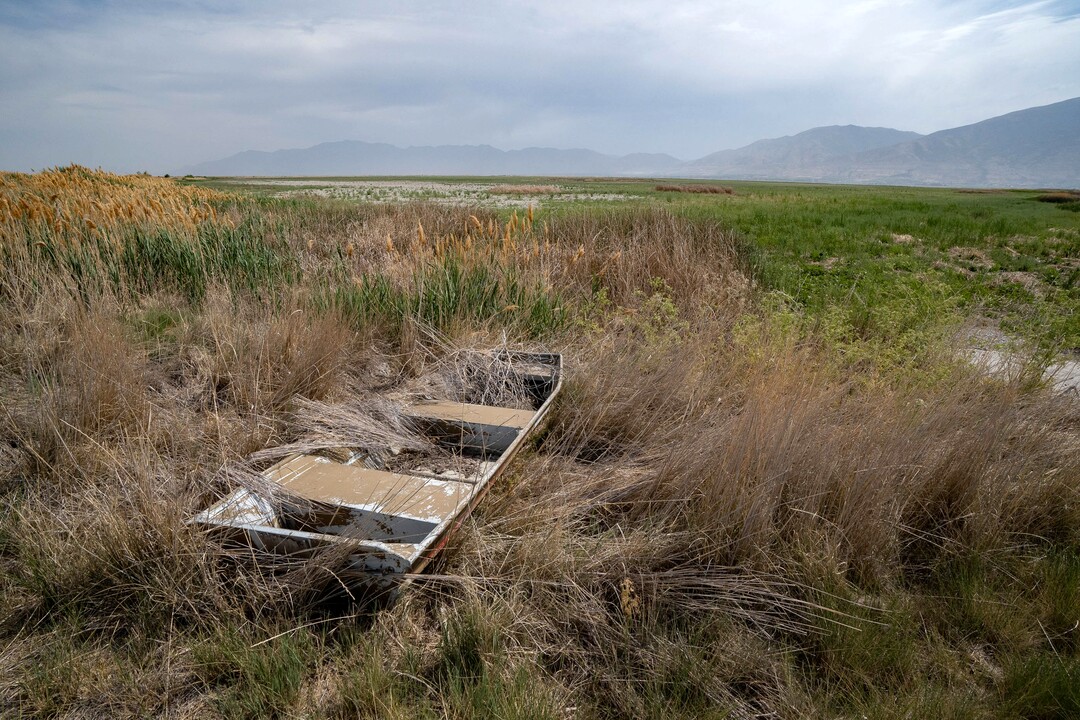 (Francisco Kjolseth | The Salt Lake Tribune) An abandoned boat sits on one of the many dried up ponds in the Bear River Migratory Bird Refuge, a 74,000-acre nature reserve in the northern Great Salt Lake on Wednesday, June 23, 2021. The Great Salt Lake which is declining is exposing pelican’s breeding grounds making it vulnerable to predators and reducing the waters that hold they carp they eat.