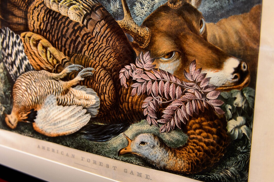 (Trent Nelson  |  The Salt Lake Tribune)  A piece by Fanny Palmer at the Utah Museum of Fine Arts in Salt Lake City. The re-imagined UMFA reopens to the public Saturday, Aug. 26.