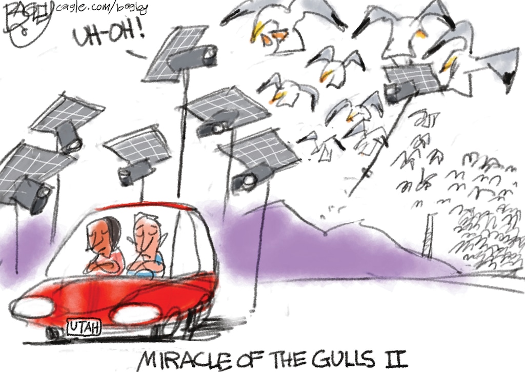 Pat Bagley | Miracle of the Gulls 2