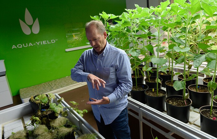 (Francisco Kjolseth  |  The Salt Lake Tribune)  Warren Bell, chairman of Aqua-Yield, a new company in Draper that uses nano technology to make fertilizers that it says are much more efficient for farmers to use, describes the process of determining the proper application of its product.