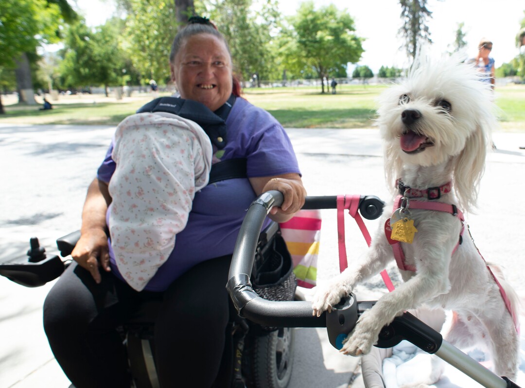 (Rick Egan  |  The Salt Lake Tribune)   Dotty Antonio picks up doggie treats and some food for her dog Carmela from the Sunday Street Dawg Crew, a group that  gives out food, treats, leashes and things fort pets of homeless people. Sunday, July 7, 2019.