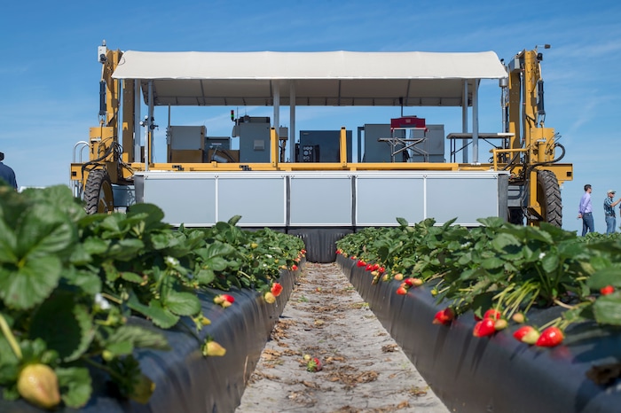 (Zack Wittman  |  For The Washington Post)  The Berry-4 automated strawberry harvesting robot is surrounded by international investors, farmers and agriculturalists during a demonstration on Wednesday, Feb. 6, 2019, at G & D Farms in Duette, Florida.
