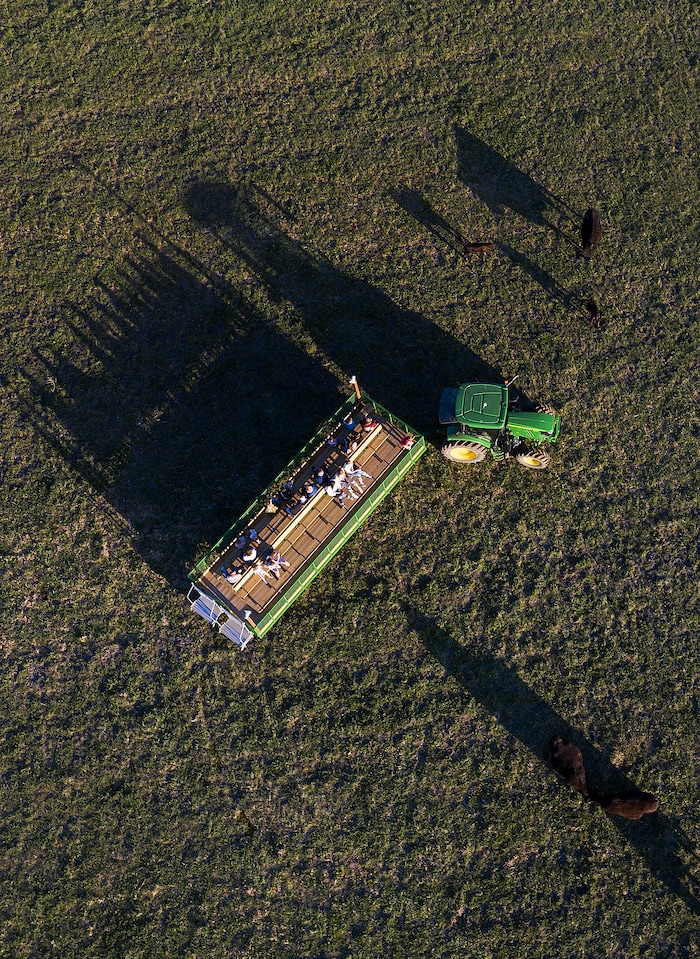 (Leah Hogsten | The Salt Lake Tribune) Long shadows of cattle and riders stretch across a pasture during a tractor ride during the Baby Animal Festival  and Tulip Field Festival at Cross E Ranch, April 23, 2021.The festival runs unlil May 8.
