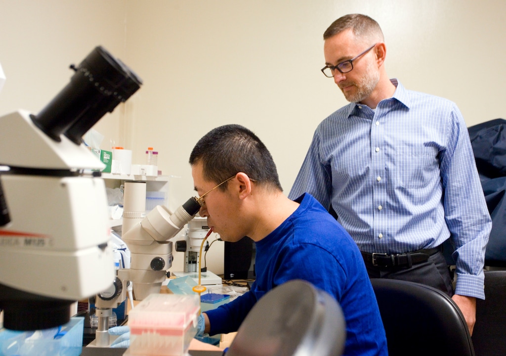 (Geoff Crimmins/The Moscow-Pullman Daily News via AP) In a Thursday, March 15, 2018 photo, professor of molecular biosciences Jon Oatley, right, talks with post-doctoral fellow Deqiang Miao in a laboratory at Washington State University in Pullman, Wash.