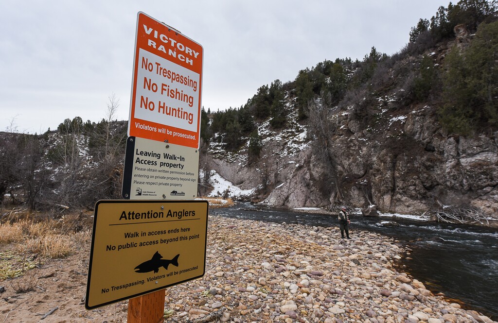 (Francisco Kjolseth | The Salt Lake Tribune) Brady Willison on Tuesday fishes a stretch of the Upper Provo that cuts through the 7,000-acre Victory Ranch, a luxury destination near Francis. Until a Nov. 4 court ruling invalidating Utah’s restrictive stream access law, such streams were not available to anglers without property owners’ permission. Stream access advocates successfully sued Victory Ranch, claiming that the landowners’ practice of keeping non-guests off the river violates an easement the public has to stream beds. But without further guidance from the court, the scope of that easement is not clear, lawyers say. Victory Ranch insists the ruling should be stayed pending its appeal, which it expects to win.