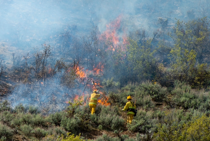 (Rick Egan  |  The Salt Lake Tribune)   Firefighters battle a fire near the Dutch Canyon Road in Midway, Tuesday May 12, 2020