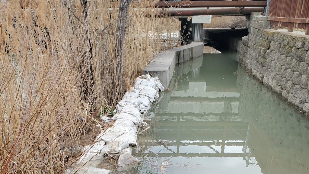 Milky, light blue water covers a concrete path with light tan reeds on one side and a gray retaining wall.