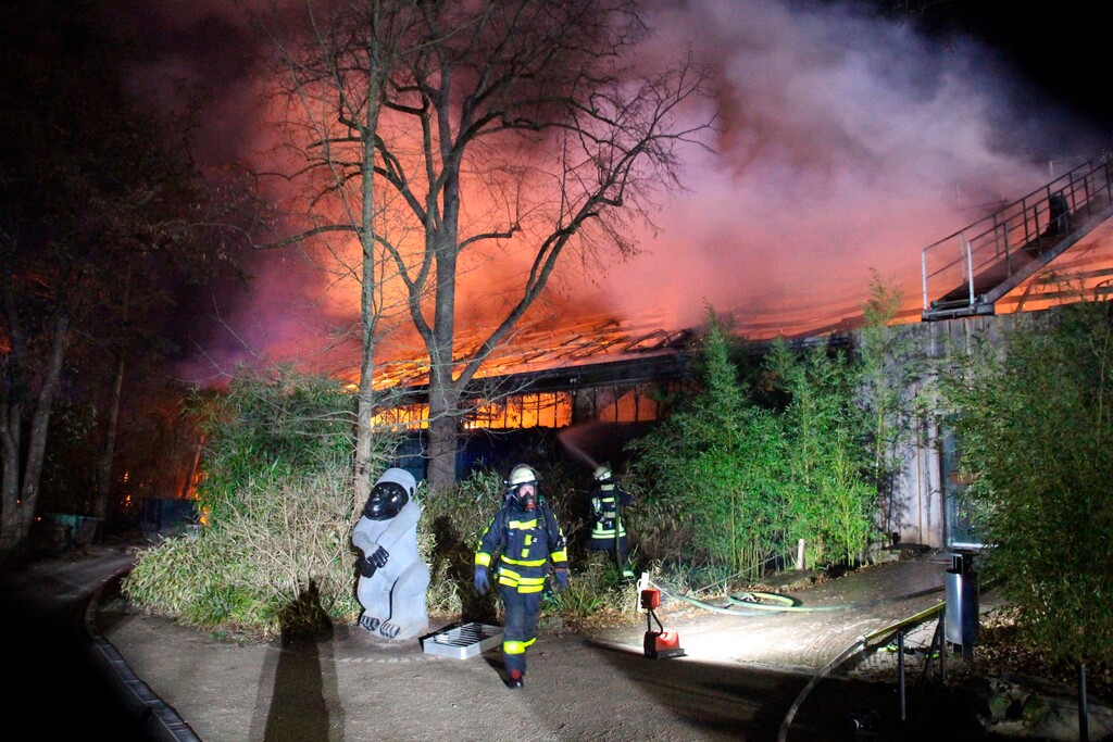 (Alexander Forstreuter | dpa via AP) Firefighters stand in front of the burning monkey house at Krefeld Zoo, in Krefeld, Germnay, Wednesday Jan 1, 2020. A fire at a zoo in western Germany killed a large number of animals in the early hours of the new year, authorities said.