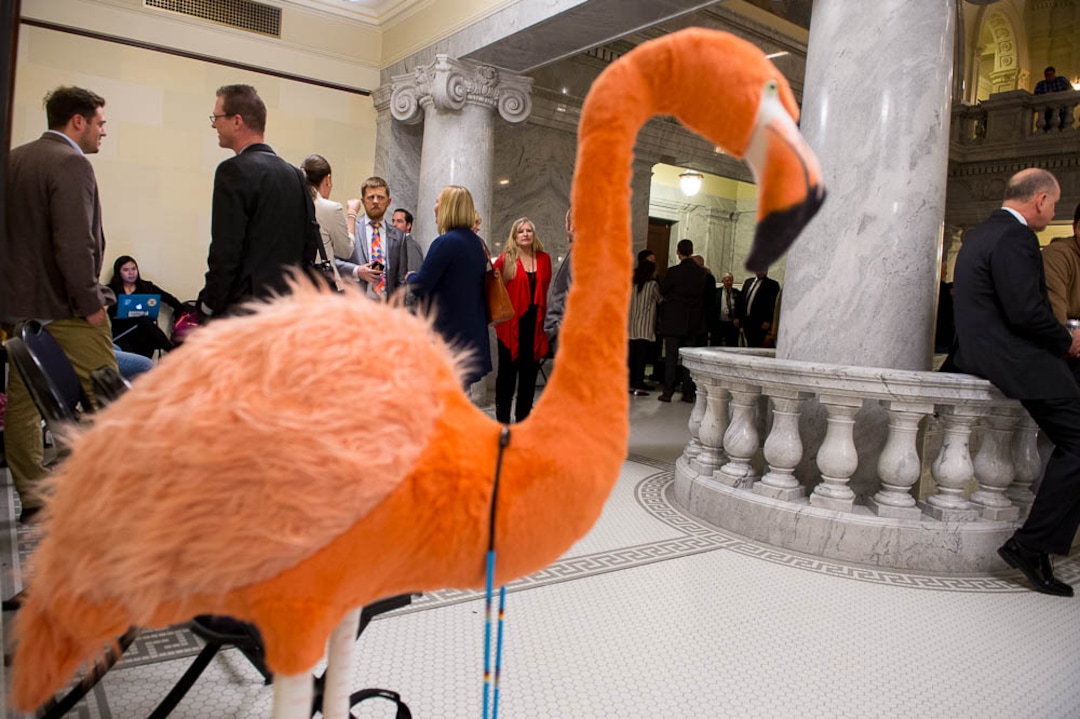 (Trent Nelson | The Salt Lake Tribune)  Lobbyist Spencer Stokes's pink flamingo (the Flamingo Forum) outside of the House Chamber in Salt Lake City, Thursday March 8, 2018.