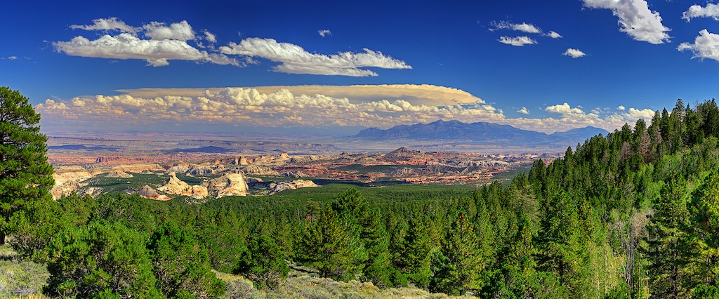 (Courtesy photo | Grand Canyon Trust) The Wayne Wonderland in Fishlake National Forest is among 4.2 million acres of roadless areas in Utah. Gov. Gary Herbert is asking the U.S. Forest Service to relax protections on much of these timbered lands.