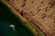 (Trent Nelson | The Salt Lake Tribune) A raft on the Colorado River as seen from Navajo Bridge in Ariz. on Tuesday, May 20, 2025.