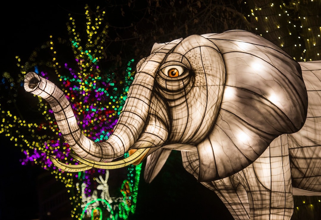 (Rick Egan  |  The Salt Lake Tribune)   An elephant lantern is one of 10 animal lanterns this year, as ZooLights at Hogle Zoo are turned on, Friday, Nov. 30, 2018. The lights continue  through December 31st, 