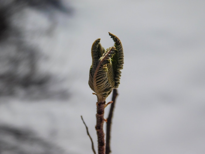 Erin Alberty | The Salt Lake Tribune
A scene from the canyons near Monrovian Park in Sevier County on March 8, 2017.