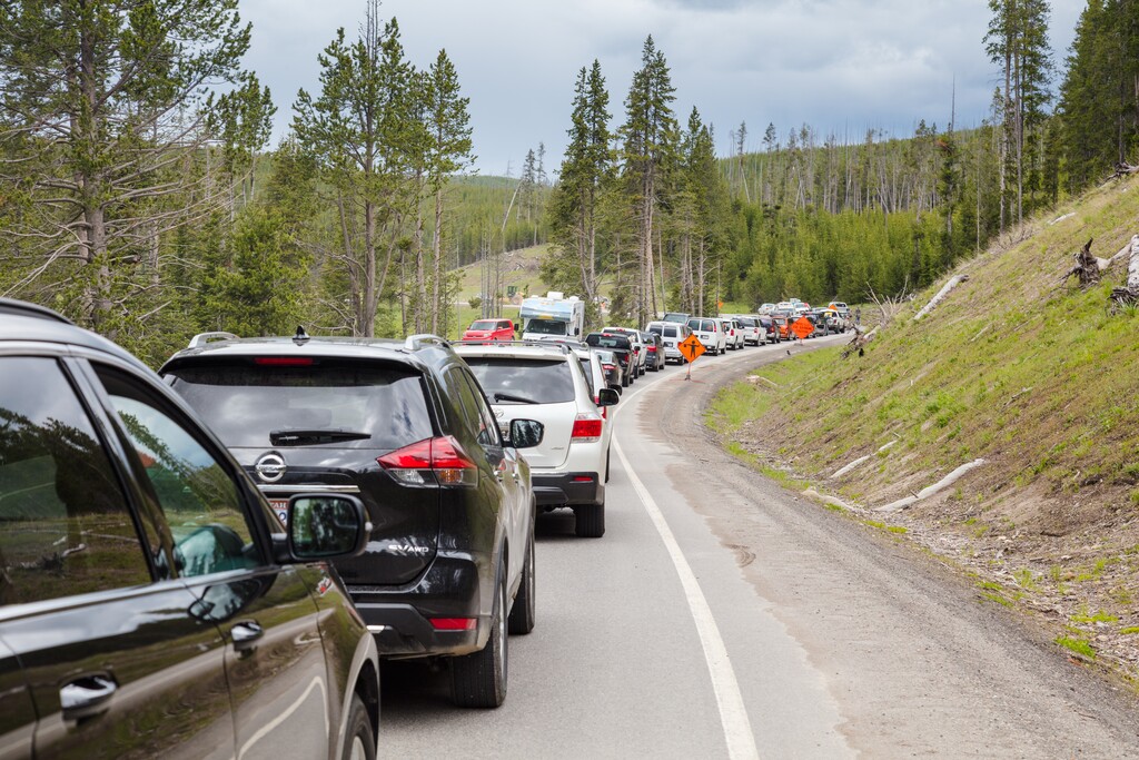 (Jacob W. Frank | NPS) Cars wait to get into Yellowstone in June 2018. Park officials will release poisons into the upper Gibbon River drainage in northwest Wyoming to remove exotic fish.