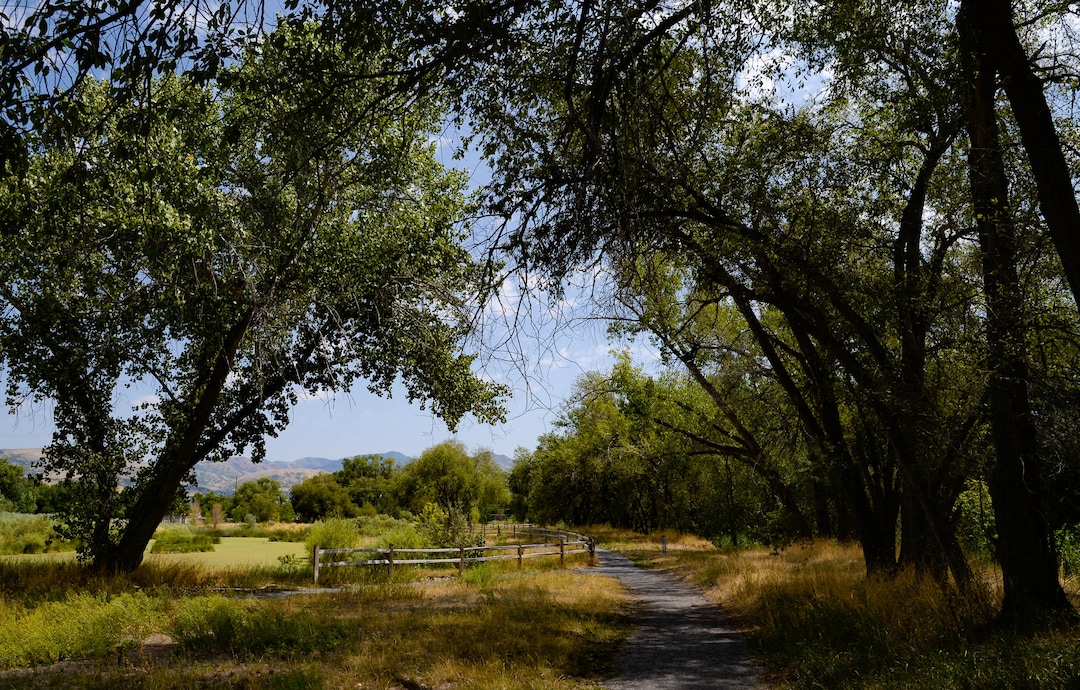 (Francisco Kjolseth  |  The Salt Lake Tribune) New grant money has become available to refresh the comprehensive master plan for the 51-mile Jordan River Parkway stretching from Utah Lake in Utah County to the wetlands of the Great Salt Lake.