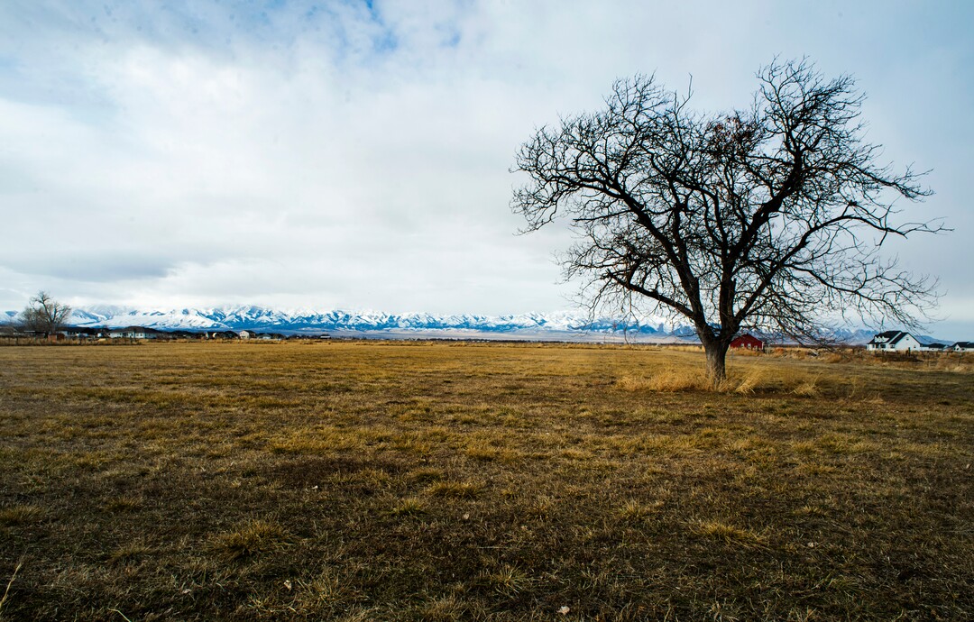 (Rick Egan  |  The Salt Lake Tribune)         The Romney Group, a private real estate investment company, is pushing for the creation of a 12,000-acre satellite port in Tooele County, which includes Erda. Tuesday, Jan. 28, 2020.