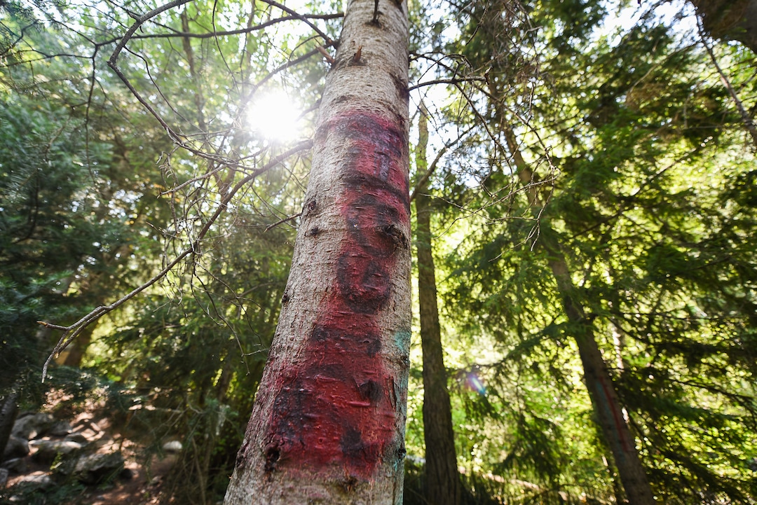(Francisco Kjolseth  |  The Salt Lake Tribune)  Graffiti has proliferated in lower Little Cottonwood Canyon, where vandals, often wielding cans of fluorescent-colored spray paint, have covered granite faces, trees and structures. The vandalism is particularly apparent along the Temple Quarry Trail and the creek at the Moon Rock swimming hole and former pavilion site. Volunteers using donated equipment and solvents spend thousands of hours removing the paint from the rocks only to see graffiti return to the same faces or on rock nearby.
