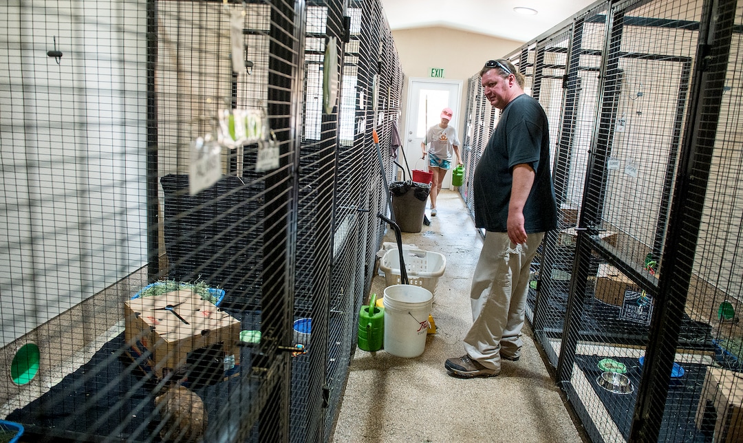 Leah Hogsten  |  The Salt Lake Tribune"Rabbits are a big gut, surrounded by fur," said Best Friends rabbit manager Jason Dickman, center, who oversees 130 rabbits at the sanctuary. Dickman said the pens are to capacity every year in the summer when the novelty of owning and caring for a rabbit, obtained at Easter time wears off. Adoptees of rabbits must attend a series of trainings to adopt a rabbit to learn how to care for their fragile vertebras. Rabbits are excellent diggers and burrowers. They are extremely territorial and "fight to the death" said Dickman. Rabbits have over 360 bowel movements a day and are breeding machines.   Best Friends saves thousands of animals every year as the nation's largest no-kill sanctuary, encompassing some 3,700 acres about 5 miles outside Kanab.