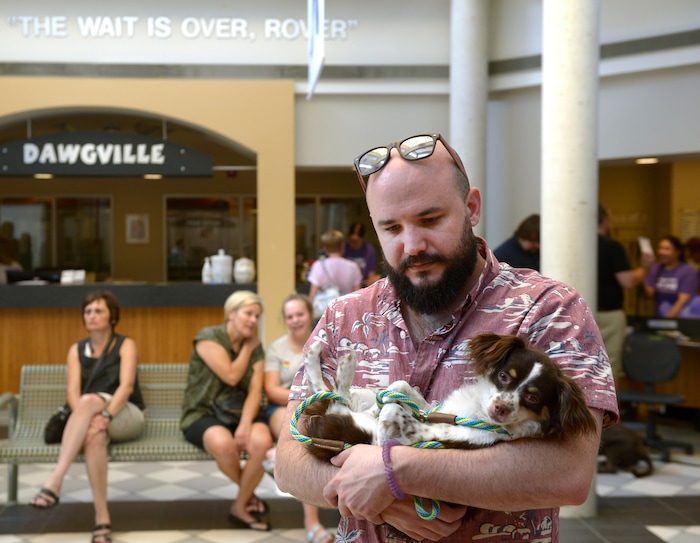 (Leah Hogsten  |  The Salt Lake Tribune) Vader, a Papillion, lounges comfortably in the arms his new owner, Ryan Blumberg as they wait to sign adoption papers during the Humane Society's weeklong adoption event, Clear the Shelters, Saturday, August 19, 2017, a nationwide drive to adopt out cats and dogs.