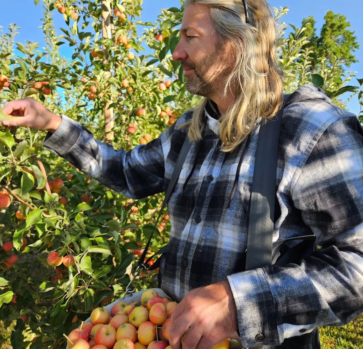 (Lori Spears) Ben Kuethe picks apples in his cider tree orchard in Paradise, Utah. The apples are used to create blends he will sell at Hobbled Dog Cidery, opening this summer in Logan.