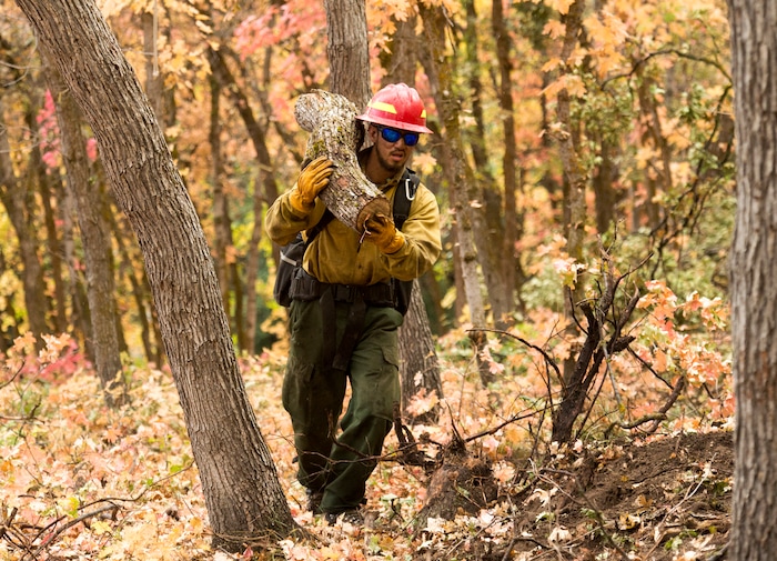 (Rick Egan  |  The Salt Lake Tribune)     Members of Grayback Forestry from Missoula Montana, work in the hills above in Woodland Hills, trying to lessen the impact of the possible flash floods, which have been forecast for the area. Monday, Oct. 1, 2018.


