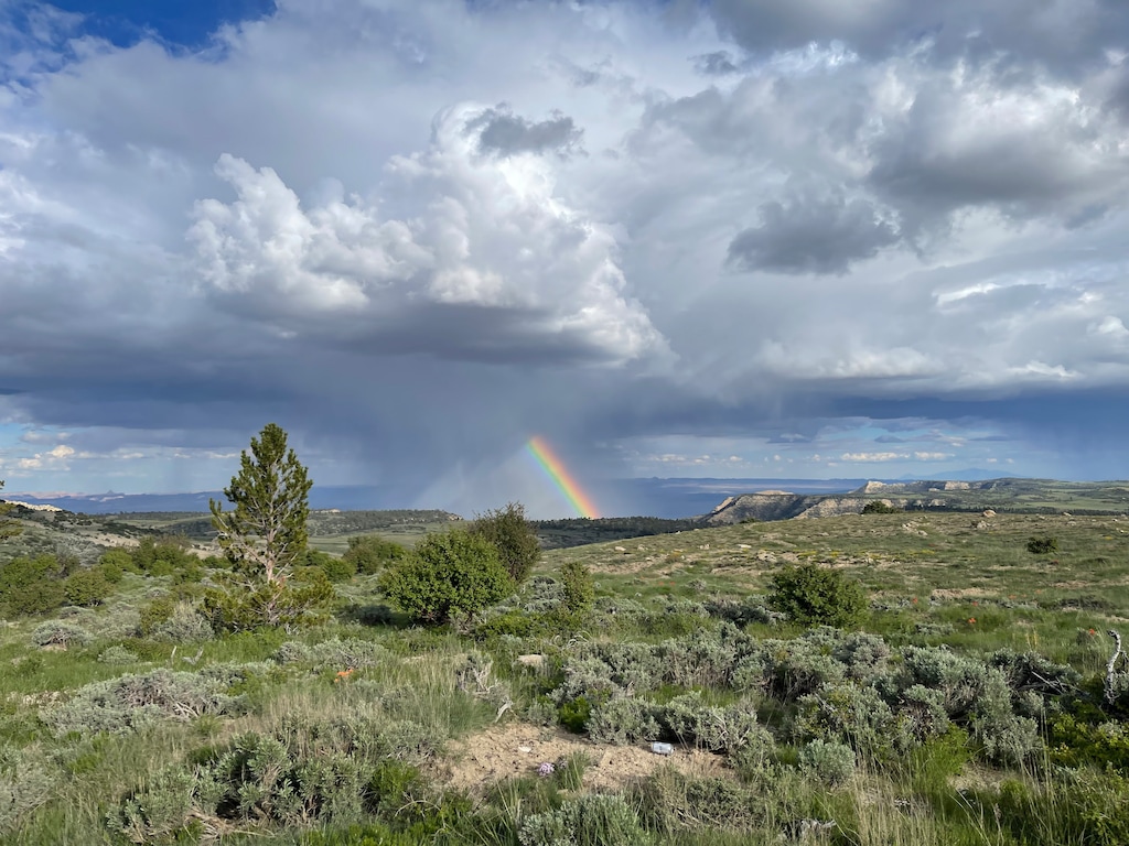 (Will Rattigan) “In an industry that relies on the desperation of parents and the emotional turmoil of teenagers, there can be no room for mistreatment,” writes Will Rattigan, who has attended and worked for wilderness therapy programs.