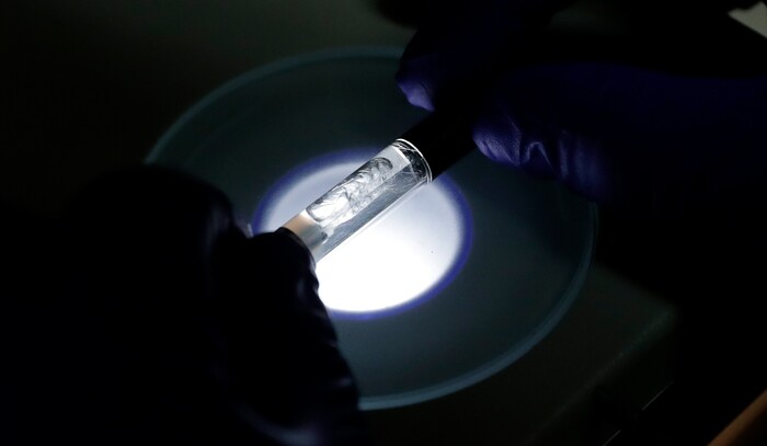 (Ted Warren | AP file photo) A Yolo! brand CBD vape oil cartridge is examined at Flora Research Laboratories in Grants Pass, Ore., on July 17, 2019. The Associated Press commissioned the lab to test that vape and 29 others as part of an investigation that shows a dark side to the booming industry selling the cannabis extract CBD. The Yolo cartridge and nine other samples contained synthetic marijuana, a dangerous street drug commonly known as K2 or spice.