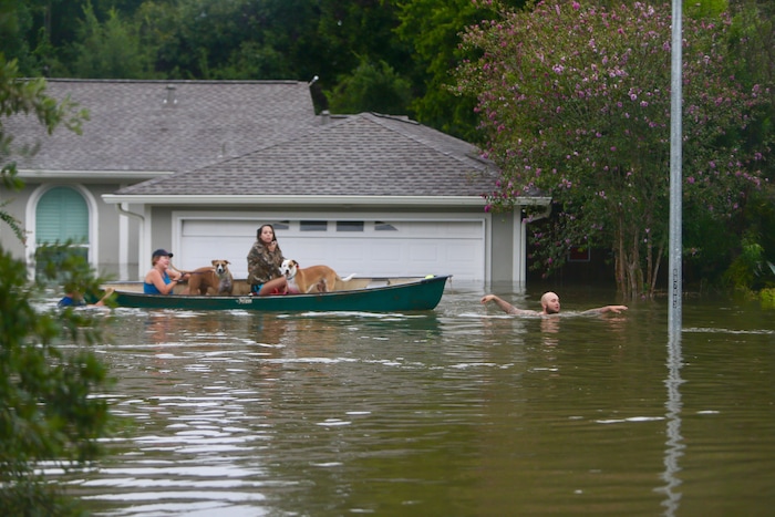 (Mark Mulligan | Houston Chronicle via AP) A family evacuates their Meyerland home in Houston, Sunday, Aug. 27, 2017.  Rescuers answered hundreds of calls for help Sunday as floodwaters from the remnants of Hurricane Harvey rose high enough to begin filling second-story homes, and authorities urged stranded families to seek refuge on their rooftops.