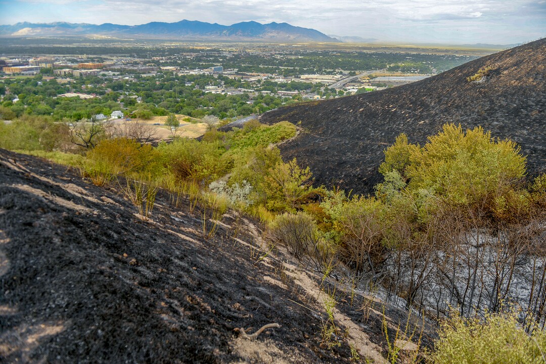 Leah Hogsten  |  The Salt Lake Tribune  Five people were injured and one home was damaged by a fast-moving grass fire on Columbus Court, Tuesday, July 24, 2018. Forty homes were evacuated as flames spread through about 100 acres. Between 50 and 60 firefighters responded to the fire.